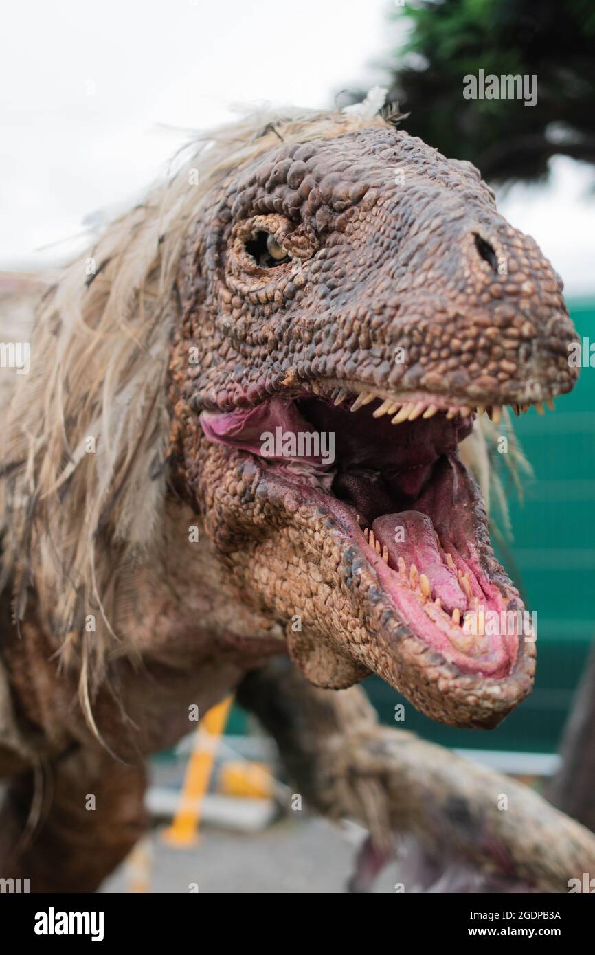 Gedreht bei der Ausstellung megalodon Creations in heden Stockfoto