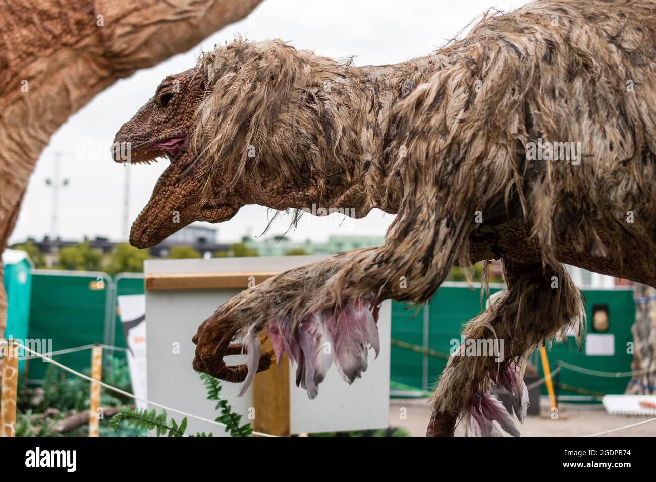 Gedreht bei der Ausstellung megalodon Creations in heden Stockfoto