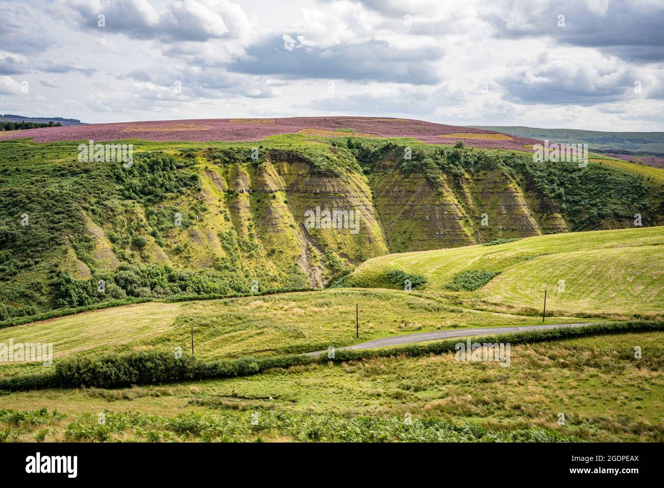 Barrow Scar ist ein geologisches Merkmal auf Barrow Hill im Coquet Valley in der Nähe von Alwinton, Cheviot Hills, Northumberland National Park. Stockfoto