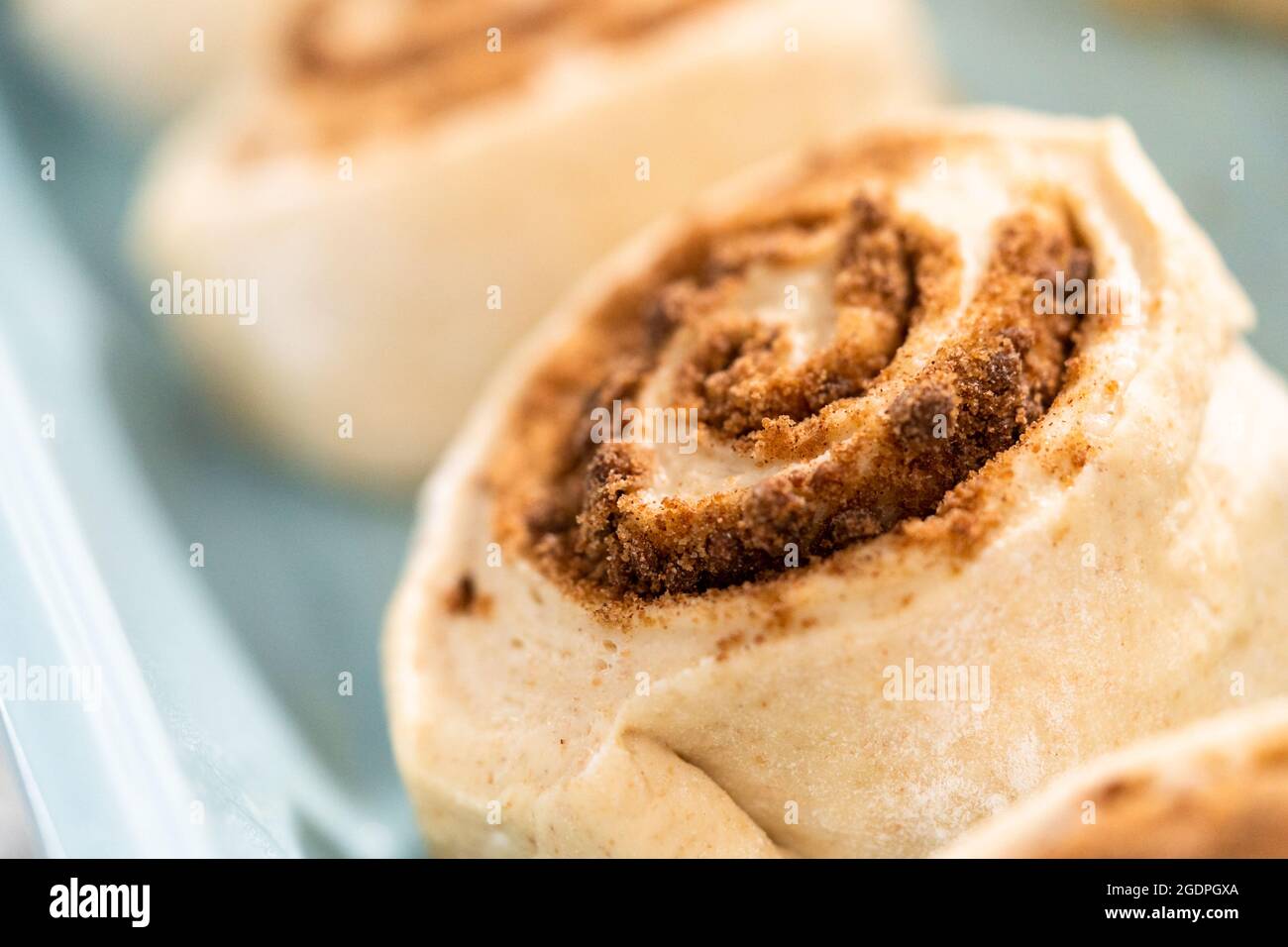 Ungebackene Zimtbrötchen in einer blauen Backform. Stockfoto