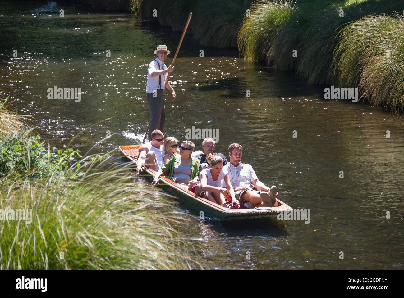 Stechkahn fahren am Fluss Avon, Victoria Square, Christchurch, Canterbury, Neuseeland Stockfoto