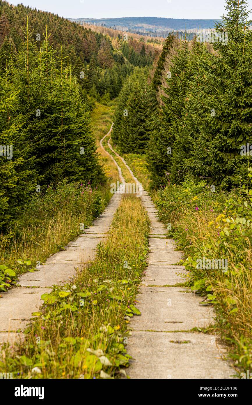 Patrouillenstraße auf den ehemaligen Barrieren des Eisernen Vorhangs an der innerdeutschen Grenze Stockfoto