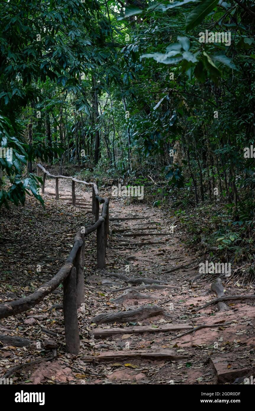 Ein links bergauf Schotterweg in den Waldgarten Wanderweg von Minas Gerais Federal University botanischen Garten gefunden - UFMG. Santa Ines. Stockfoto