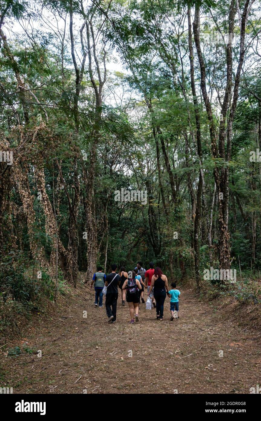 Eine Gruppe von Besuchern zu Fuß auf einem der Waldgarten Wanderwege von Minas Gerais Federal University botanischen Garten. Santa Ines. Stockfoto