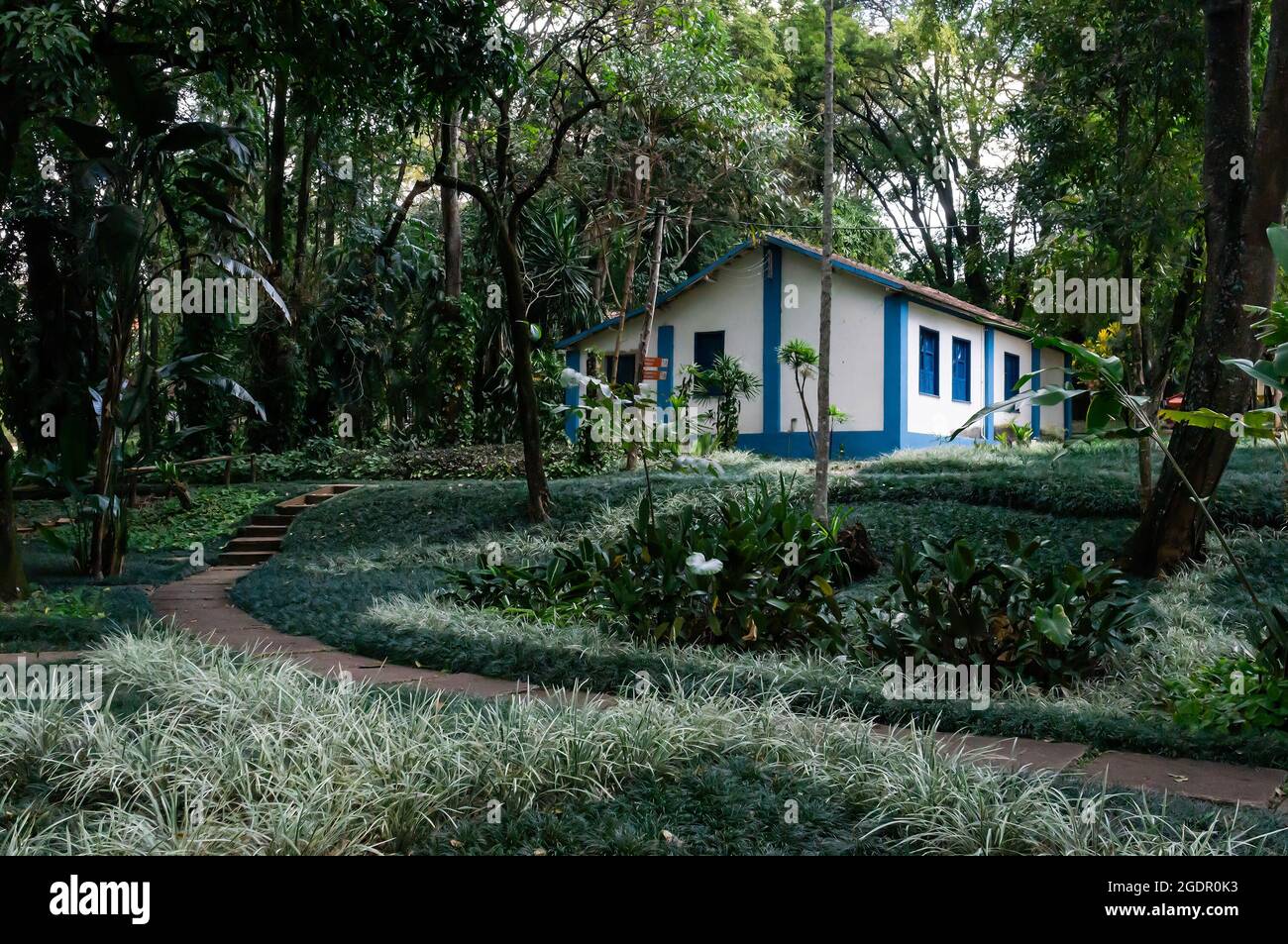 Blick auf die dichte Waldgarten grüne Vegetation von Minas Gerais Federal University botanischen Garten. Das Hotel liegt im Viertel Santa Ines. Stockfoto