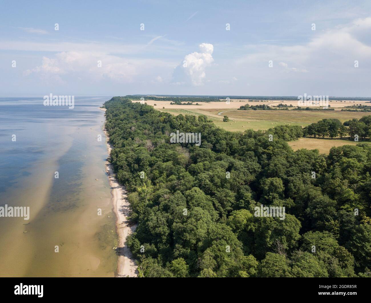 Estnische Küste in Saka, Ostestland Stockfoto