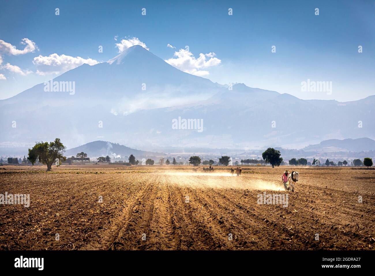Handpflügen der Felder in der Nähe des Pico de Orizaba, Puebla, Mexiko. Stockfoto