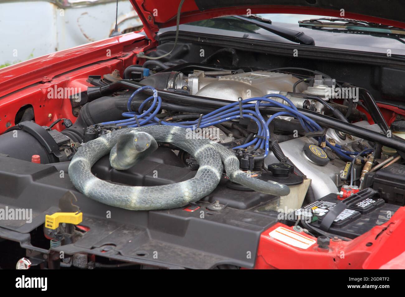 Oldtimer-Show in einer restaurierten Sinclair-Station an der Old Route 66, Ash Grove, Missouri. Stockfoto Oldtimer-Show in einer restaurierten Sinclair-Station an der Old Route 66, Ash Grove, Missouri. Stockfoto