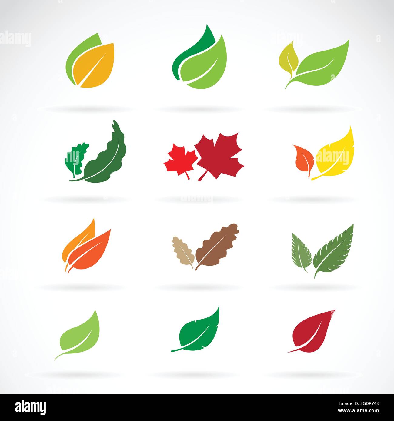 Vektor-Set von Farbe Herbst fallen Blätter auf weißem Hintergrund. Leicht editierbare Vektorgrafik mit Ebenen. Stock Vektor