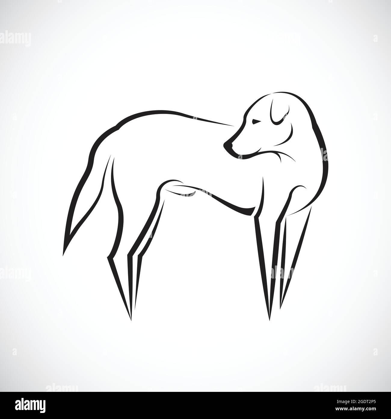 Vektor eines Hundes auf weißem Hintergrund. Leicht editierbare Vektorgrafik mit Ebenen. Tiere. Stock Vektor