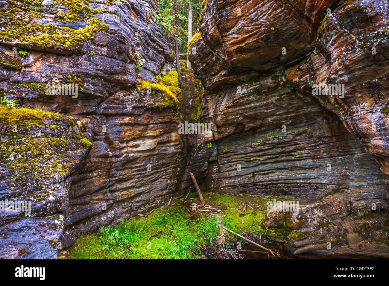 banff National Park Alberta Kanada im Sommer Stockfoto