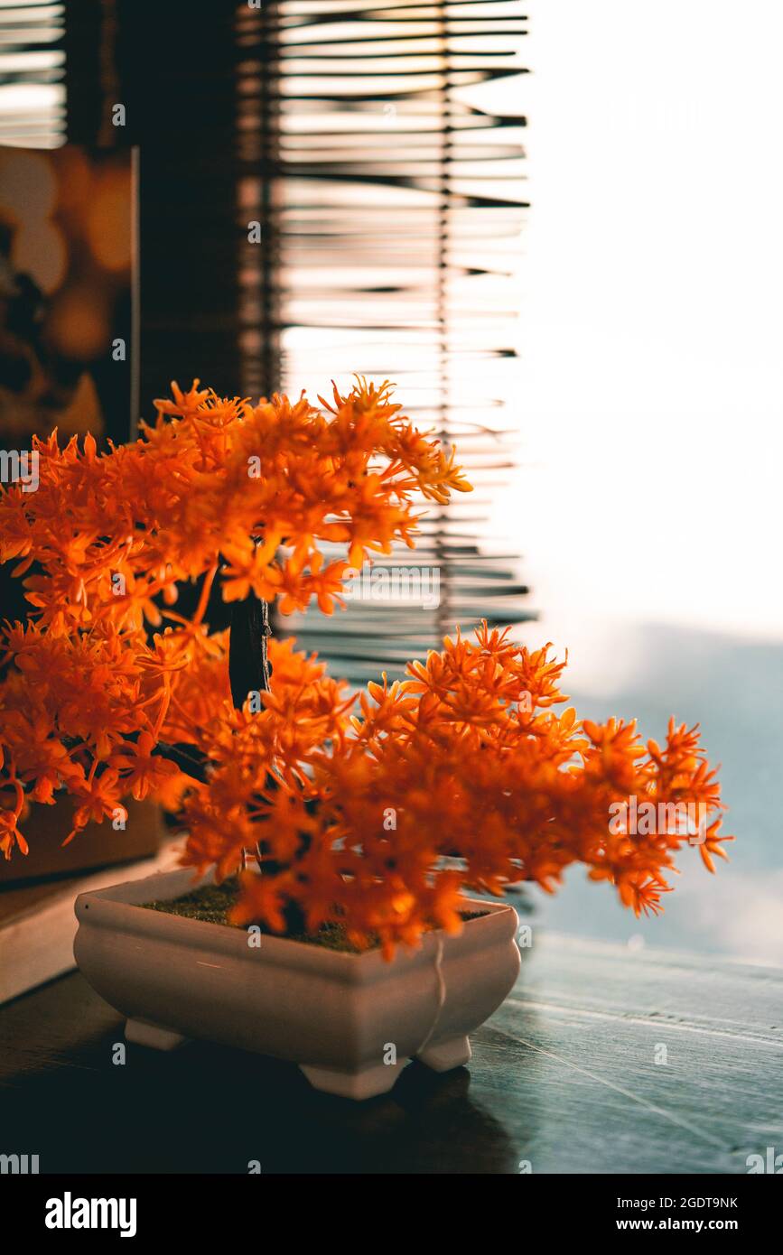 Orangefarbener künstlicher Bonsai-Baum im japanischen Restaurant mit selektivem Fokus Stockfoto