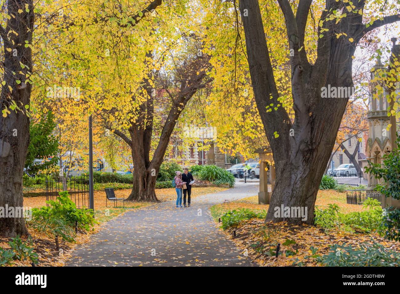 St. David's Park in Hobart, Tasmanien, wurde 1926 als Park eröffnet und ist ein ehemaliger Friedhof, der zwischen 1804 und 1872 genutzt wurde. Es hat noch viele Grabsteine. Stockfoto