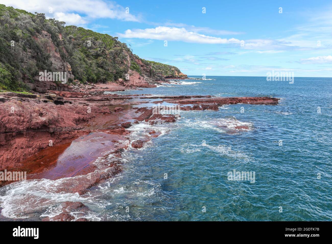 Die Felsen am Merimbula Point gehören zu den ältesten an der Ostküste Australiens und sind aufgrund von Eisenoxid im Schlamm/Sandstein rot gefärbt. Merimbul Stockfoto