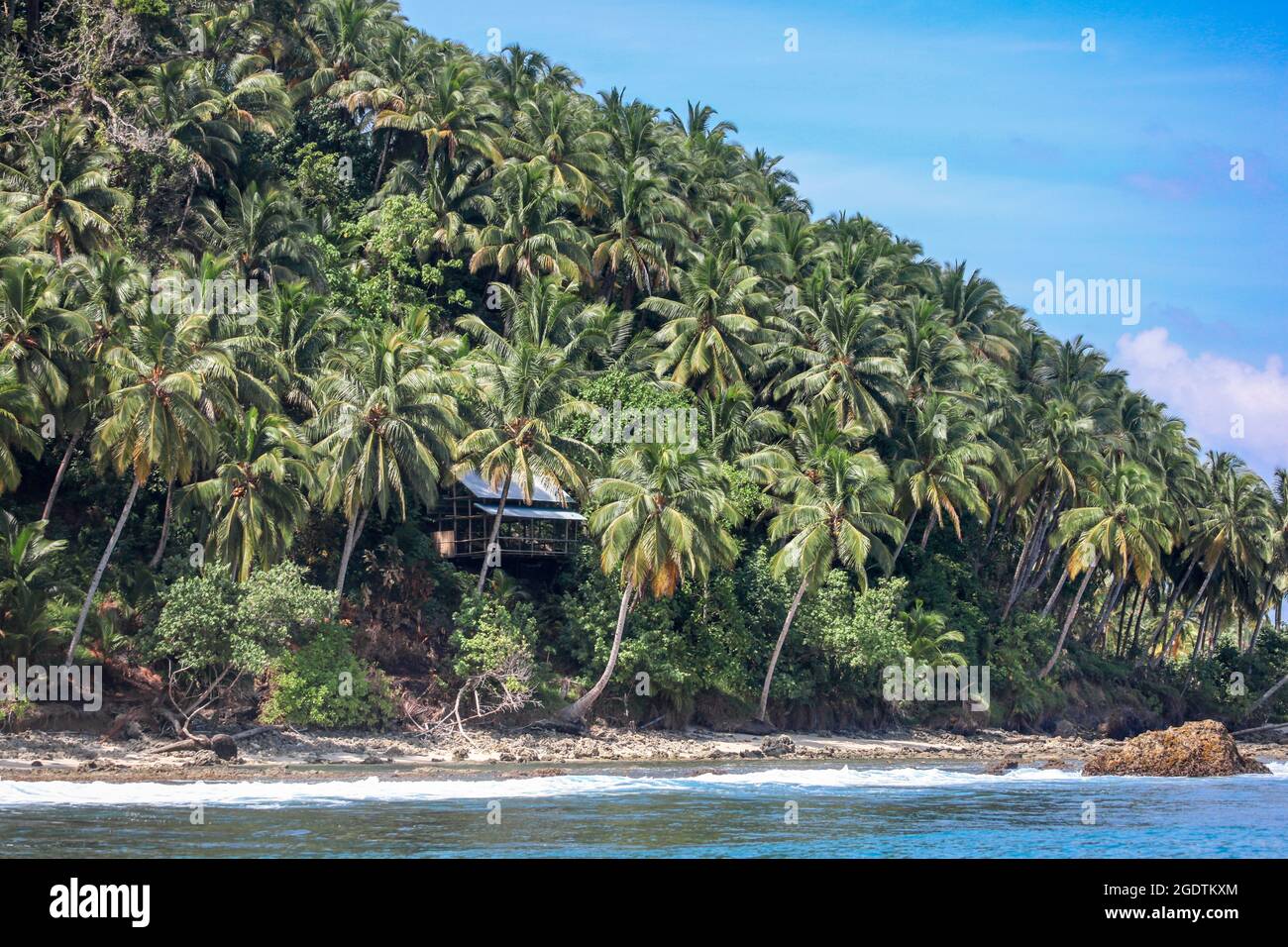 Eine Strandhütte auf einem Kokosnusshang auf den tropischen Mentawaii-Inseln - Indonesien. Dieses tropische Paradies hat einige der besten Wellen in der W Stockfoto