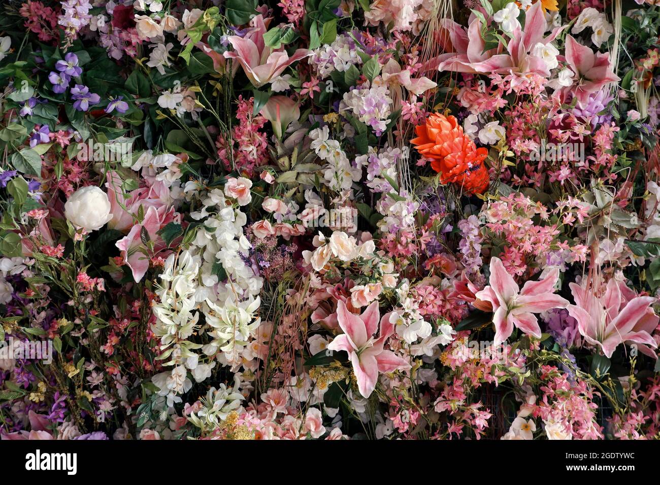 Ein Foto mit einer Blumenwand kann Rauschen und teilweise verschwommen haben Stockfoto