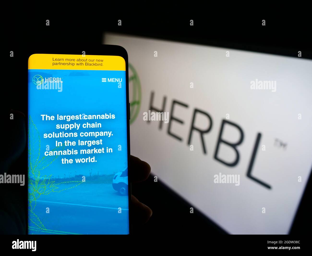 Person mit Smartphone und Website des amerikanischen Cannabis-Lieferkettenunternehmens HERBL auf dem Bildschirm vor dem Logo. Konzentrieren Sie sich auf die Mitte des Telefondisplays. Stockfoto