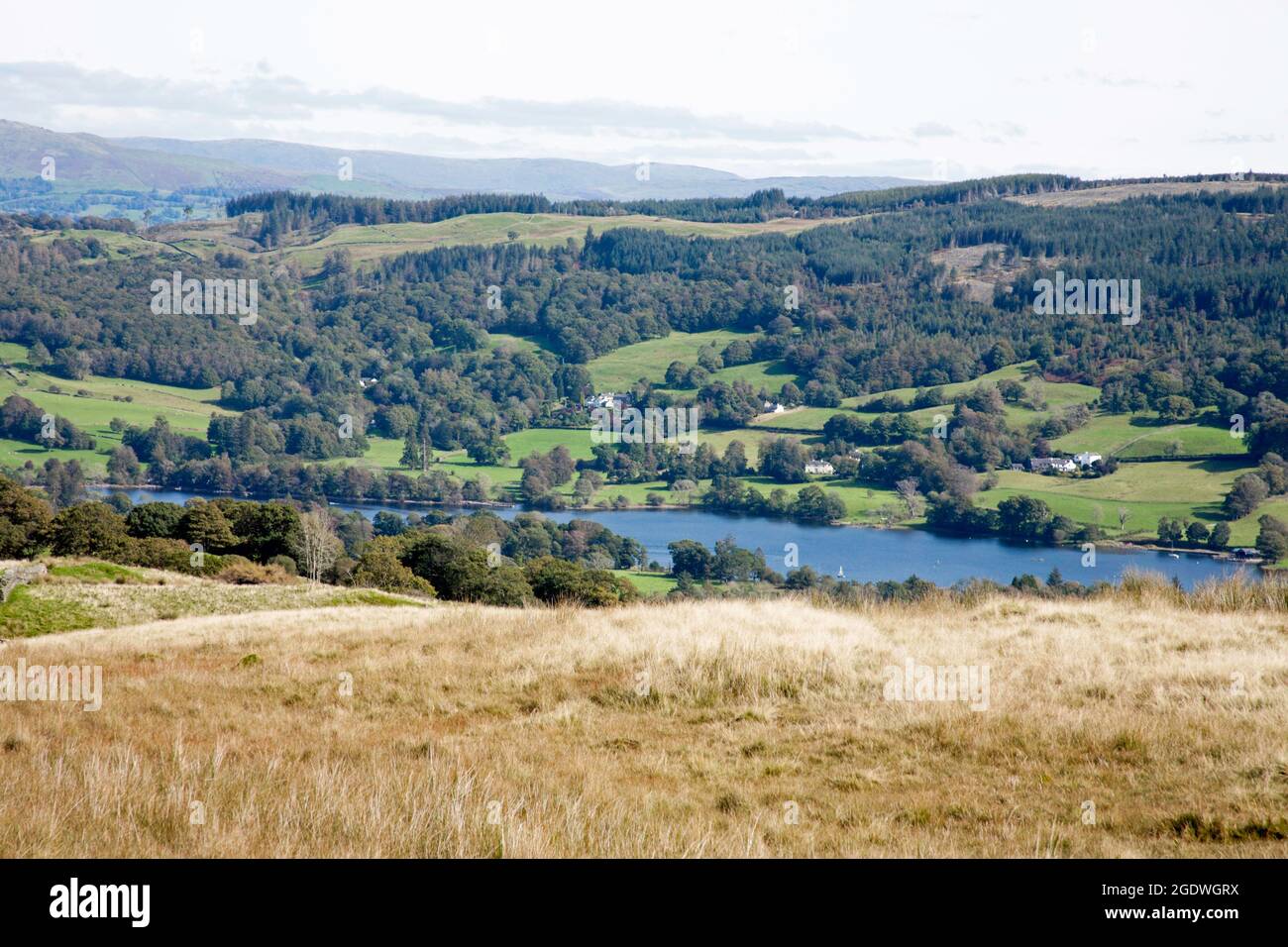 Coniston Wasser von oben gesehen Bleathwaite Weide Coniston Lake District Cumbria England Stockfoto