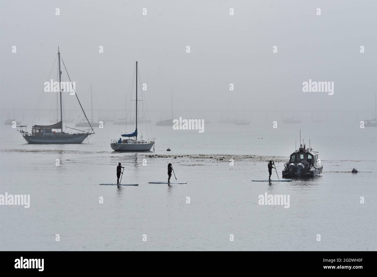 Paddeln Sie auf den glatten Gewässern von Post San Luis unter den Angel- und Vergnügungsbooten, die an Bojen im Ban, Avila Beach, San Luis, gebunden sind Stockfoto