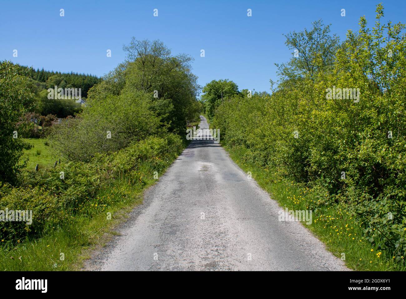 Alte Landstraße an einem friedlichen sonnigen Nachmittag Stockfoto