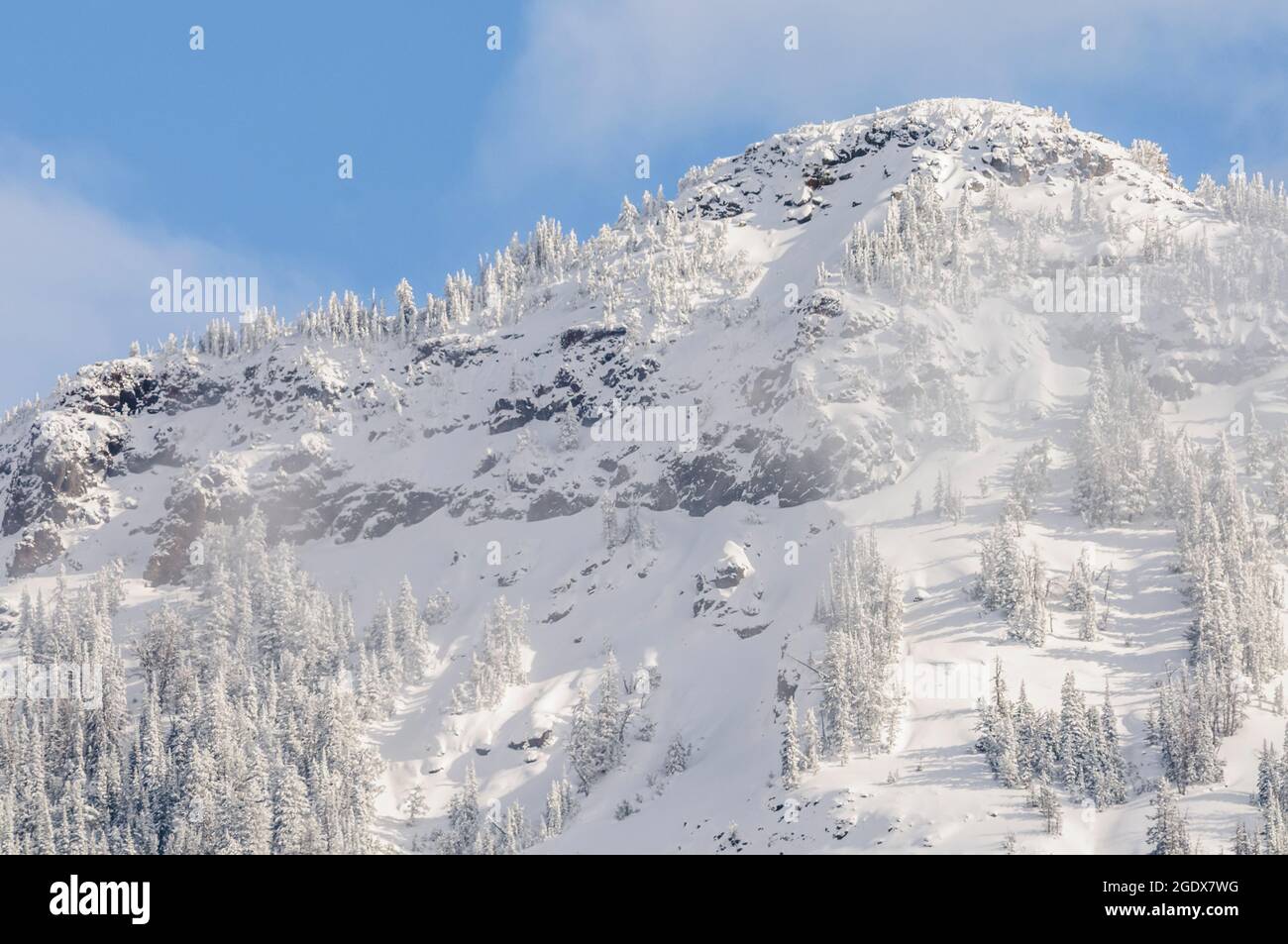 Schneebedeckter Berggipfel mit Nebel und Frost auf den Bäumen unter blauem Himmel Stockfoto