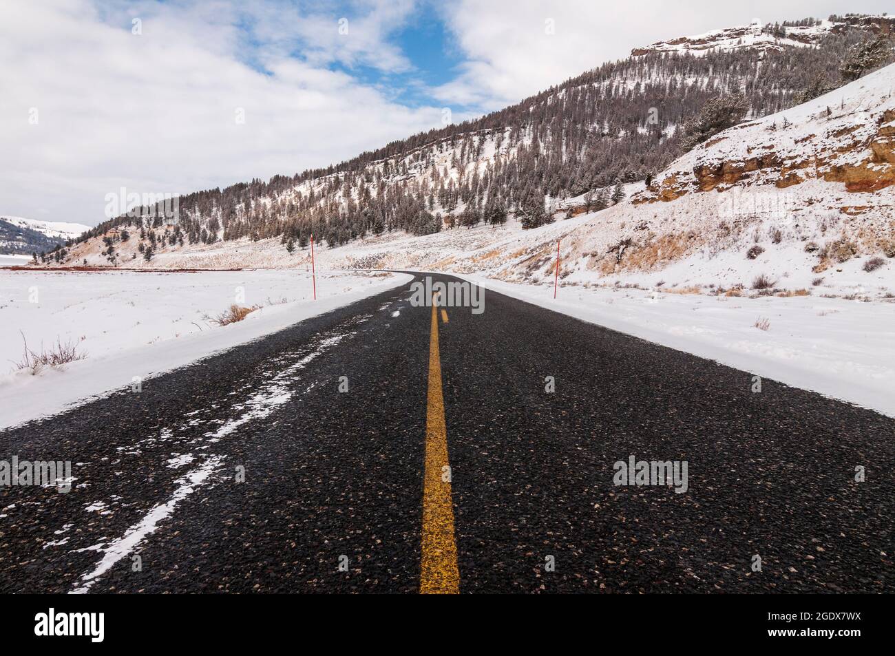 Schneefreie Straße im Winter im Yellowstones Lamar Valley mit Bergen und Wald Stockfoto