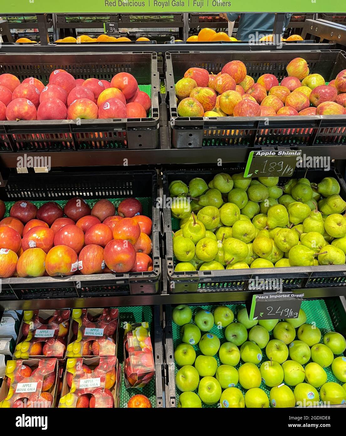 Vielfalt der Früchte ordentlich in den Regalen eines Supermarkts angezeigt Stockfoto