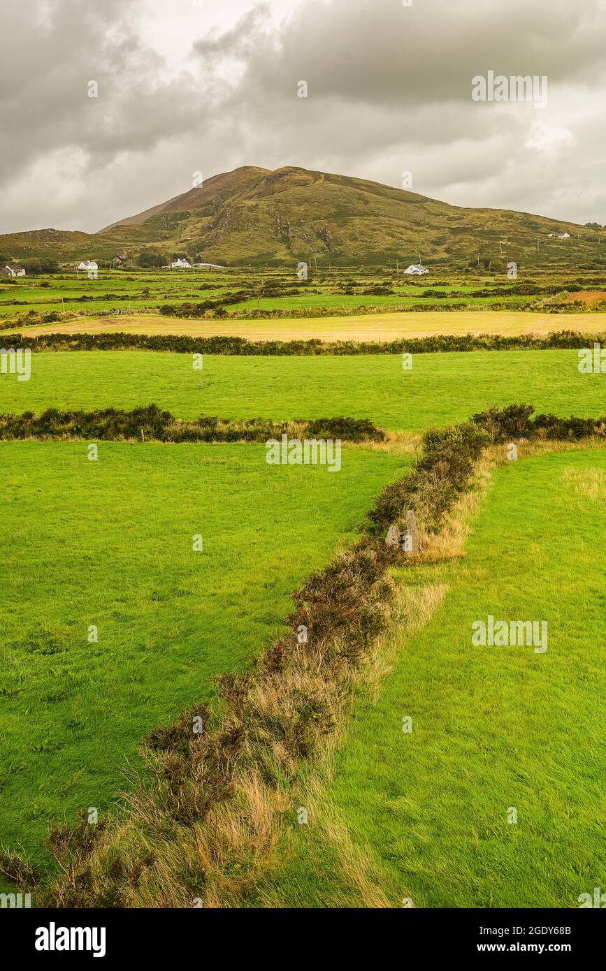 Cahergall megalithische Steinfestung in Irland Stockfoto