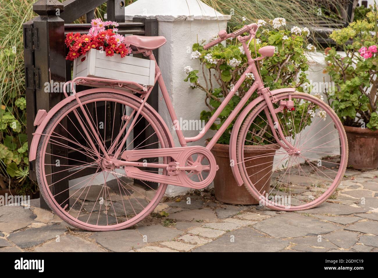 Rosa fahrrad -Fotos und -Bildmaterial in hoher Auflösung – Alamy
