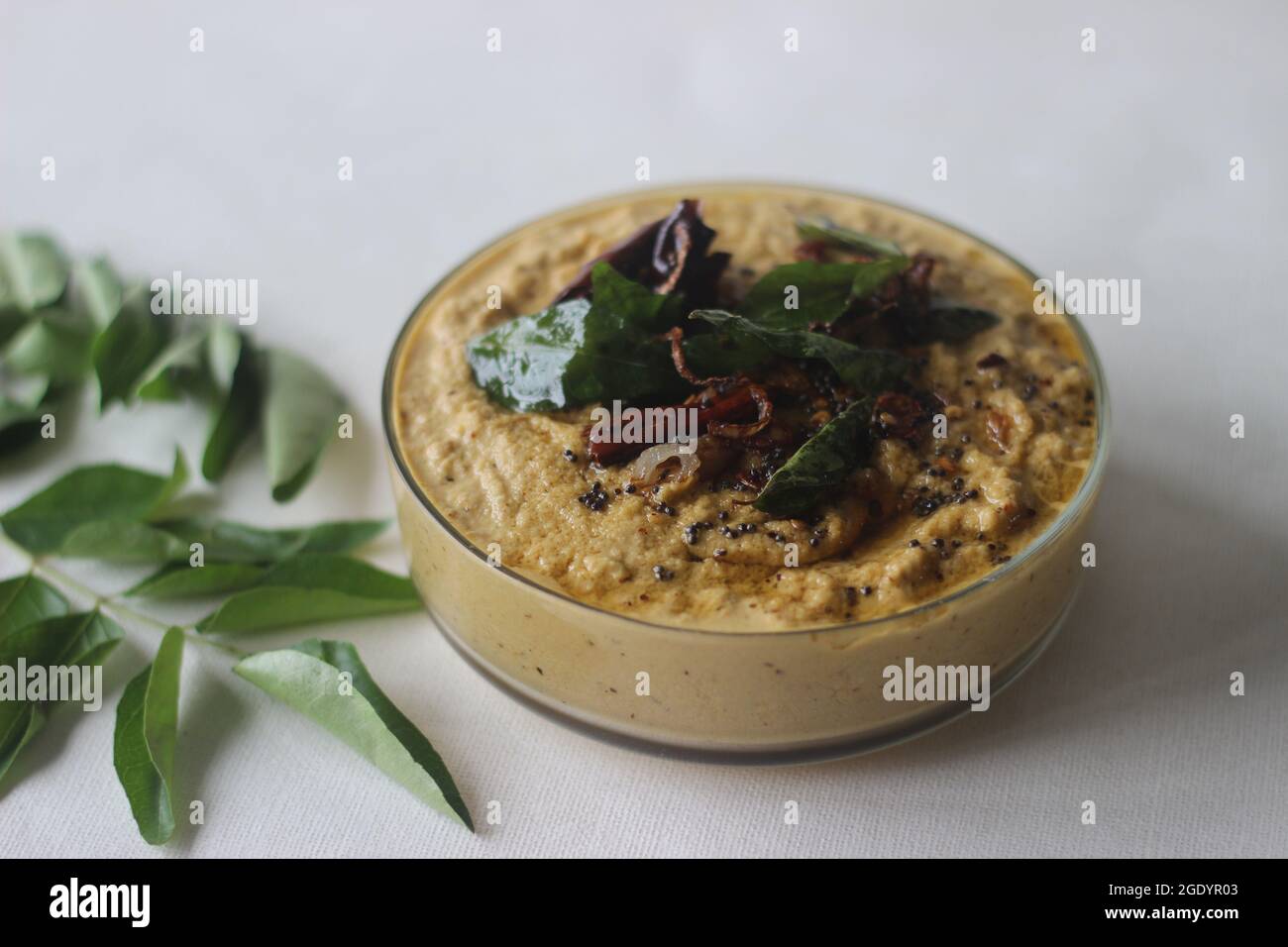 Hausgemachte, frische, würzige und heiße Würze mit Kokosnussschallotten und rotem Chilly. Lokal bekannt als Koriander-Kokosnuss-Chutney. Stockfoto