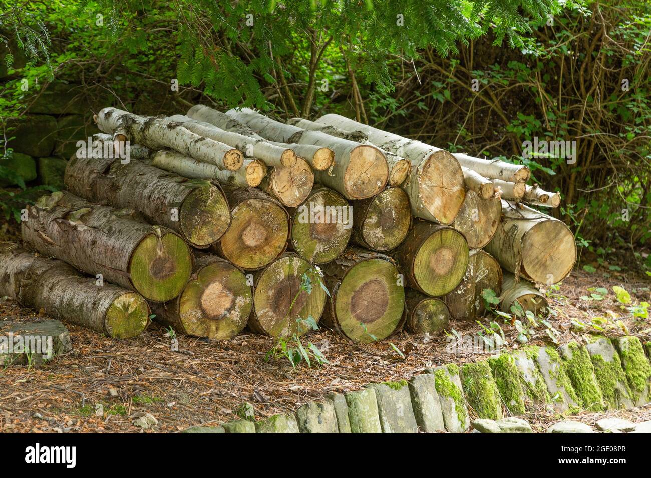 Baumstämme stapelten sich im York Gate Garden, Leeds, Yorkshire. Stockfoto