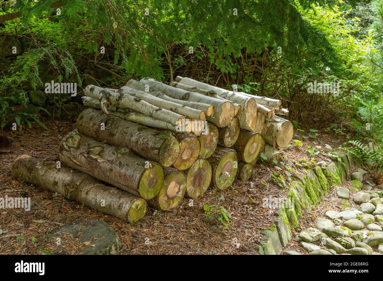 Baumstämme stapelten sich im York Gate Garden, Leeds, Yorkshire. Stockfoto