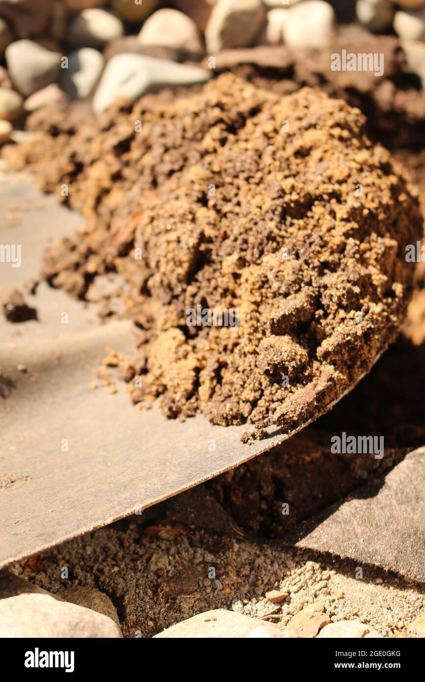 Schaufel und Schmutz Stockfoto
