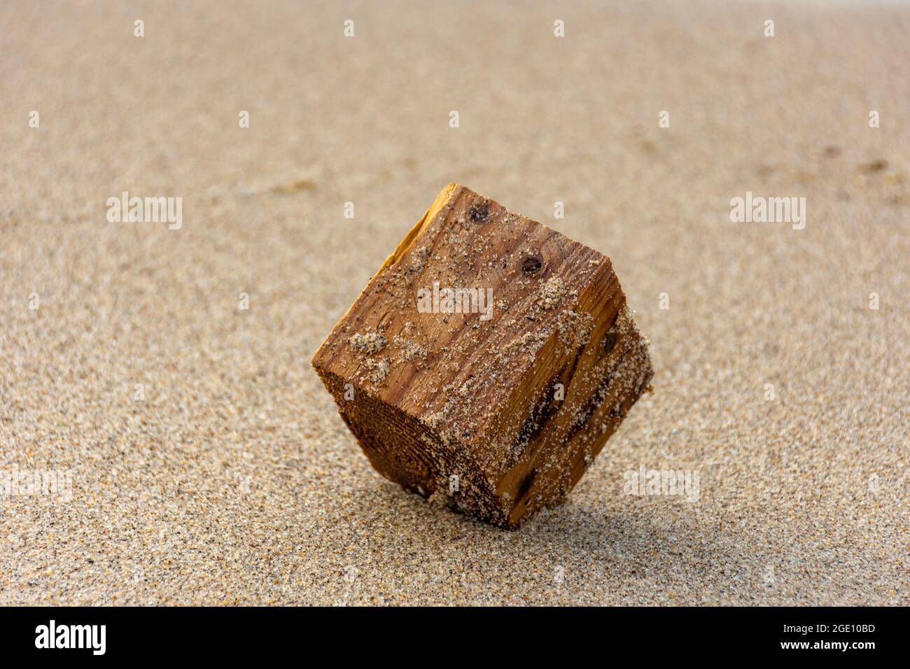 Nahaufnahme eines nassen Stückes verlassenen Holzes am Strand. Stockfoto