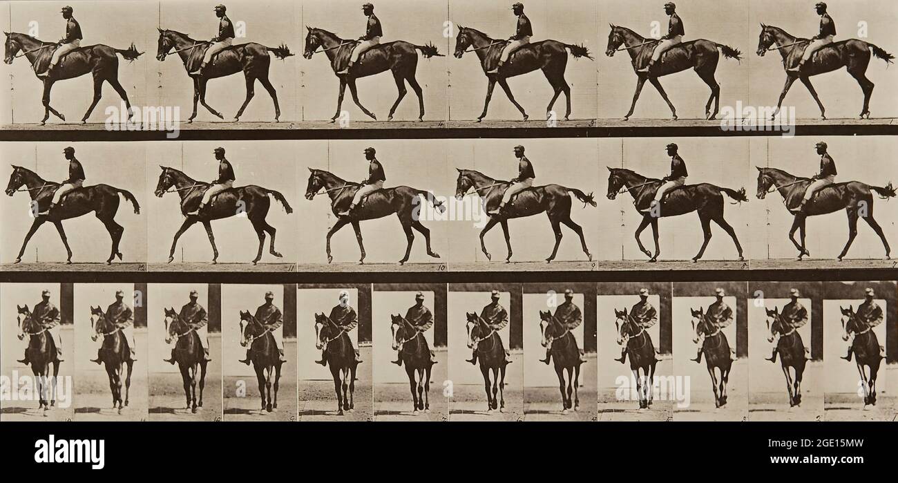 Animal Locomotion (Platte 580) Künstler: Eadweard J. Muybridge Künstlerbio: British, 1830 - 1904 Erstellungsdatum: 1887 Prozess: Kollotyp Stockfoto