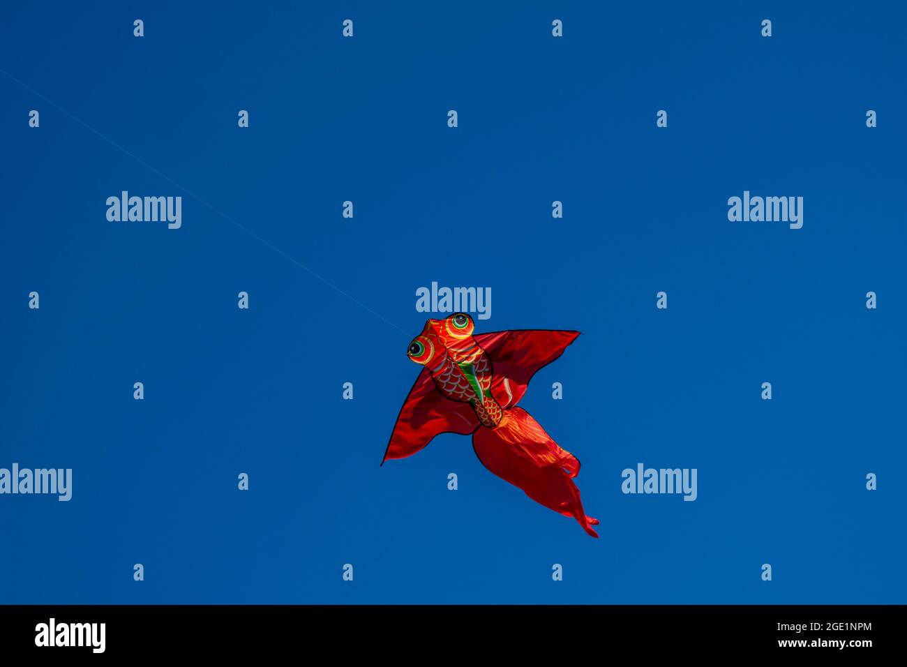 Fisch Drachen hoch in blauen Himmel Stockfoto