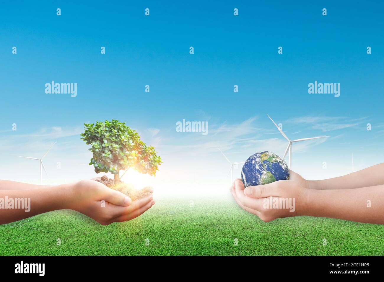 World Environment Concept: Hände halten Baum und Erdkugel über Windturbinenfeld vor blauem Himmel Hintergrund. Stockfoto