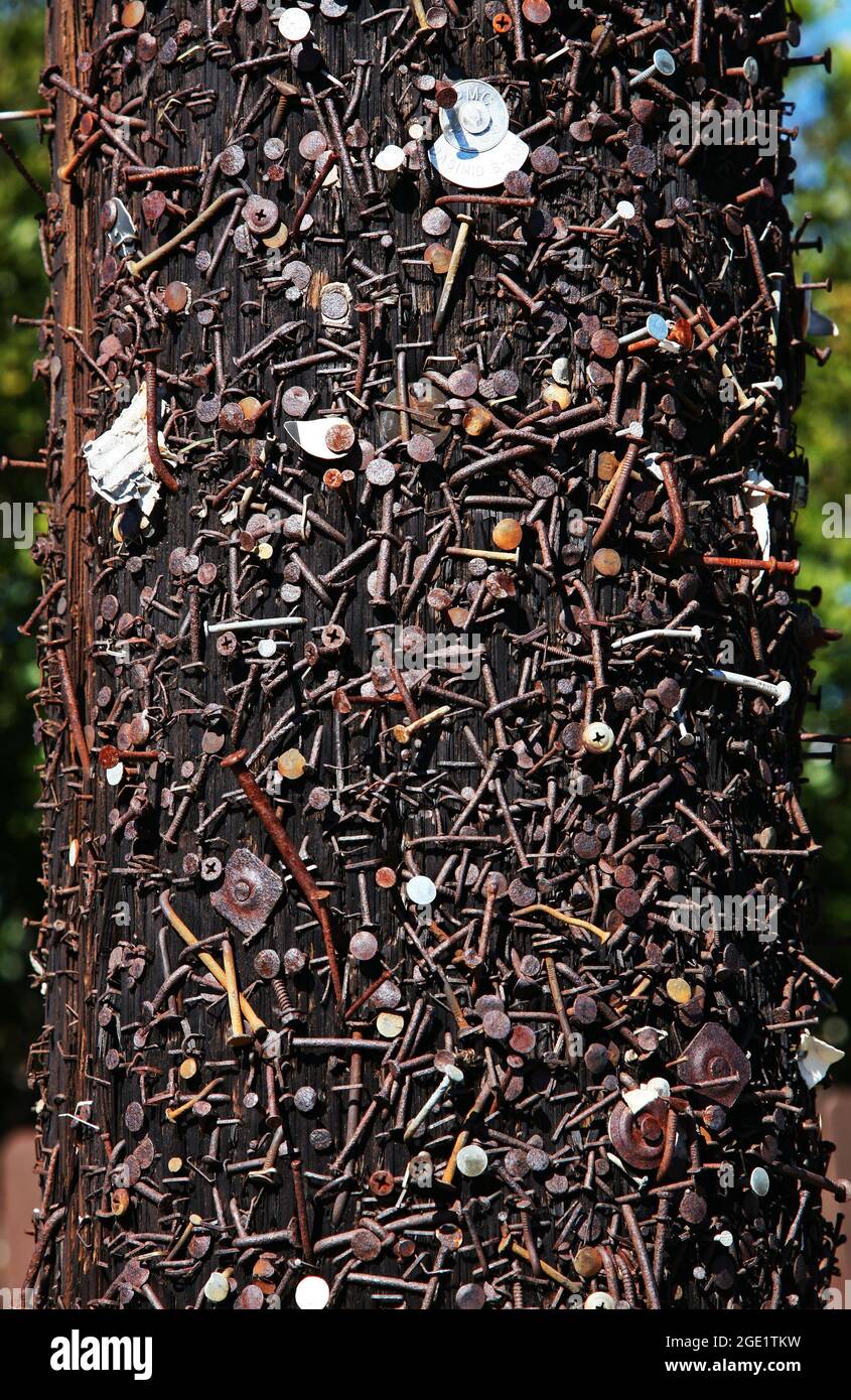 Rostige Nägel und Schrauben auf Telefonmast in Costa Mesa, CA zeigen jahrelange Yard-Verkaufsschilder Stockfoto