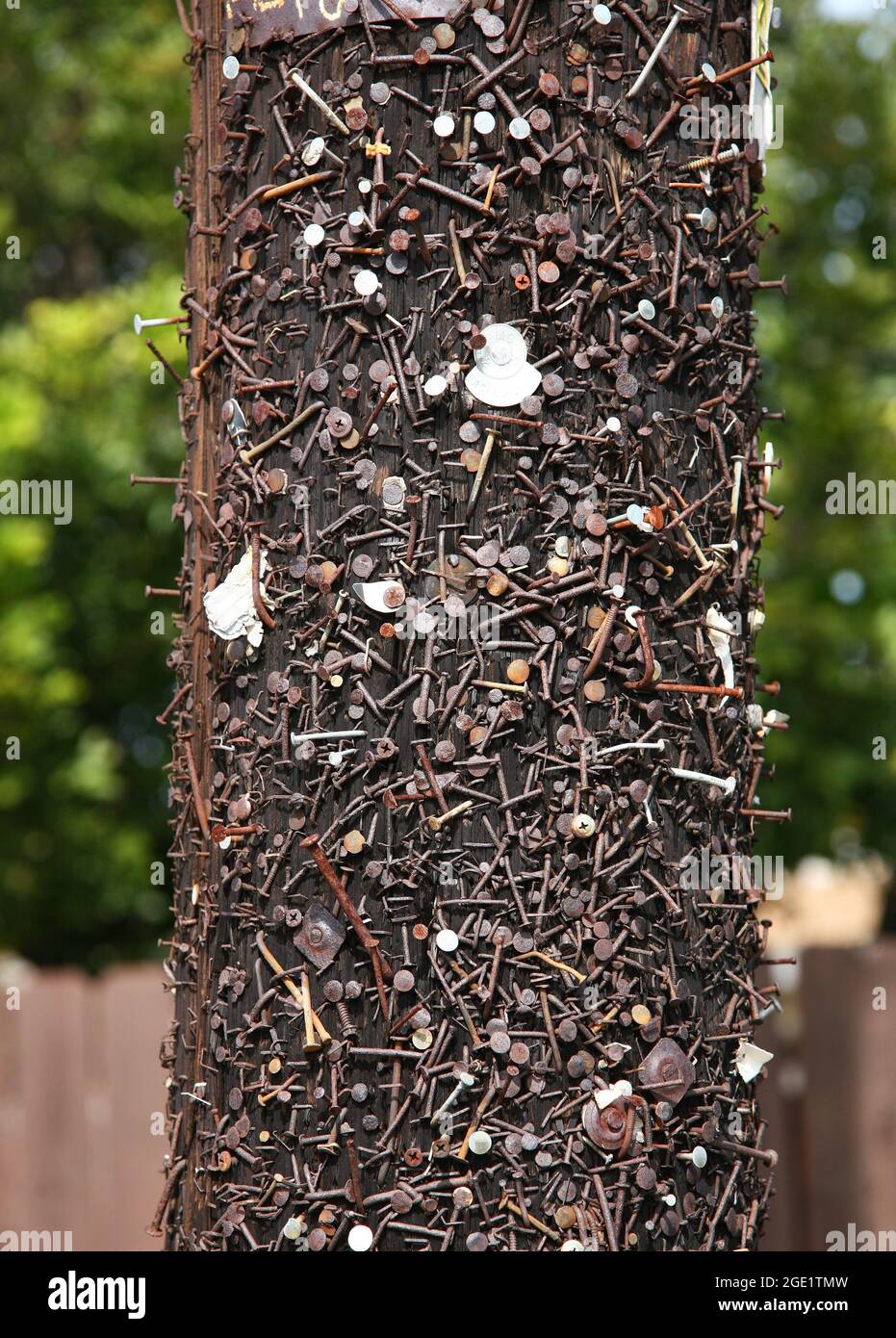 Rostige Nägel und Schrauben auf Telefonmast in Costa Mesa, CA zeigen jahrelange Yard-Verkaufsschilder Stockfoto