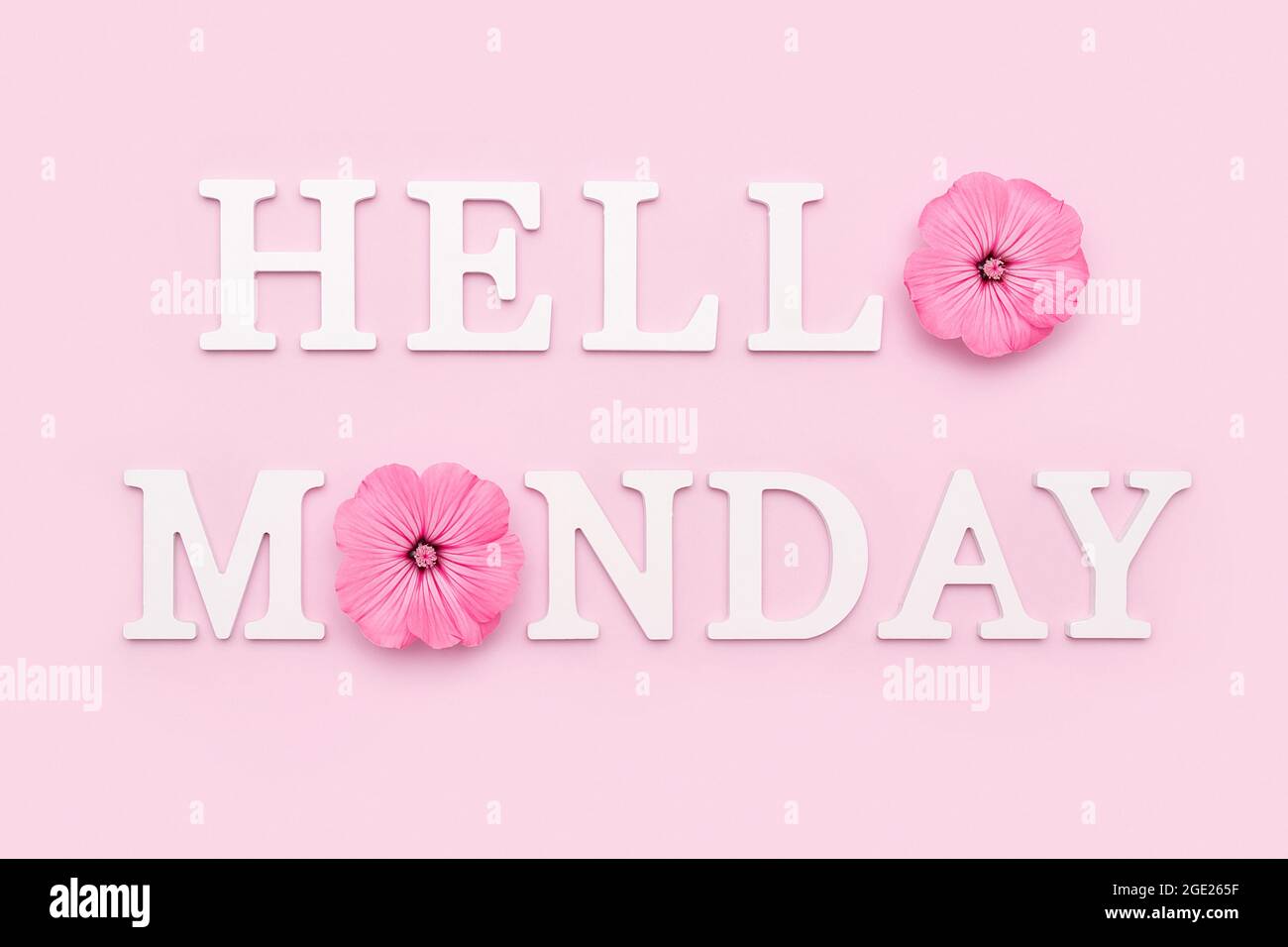 Happy Monday Worte auf schwarzem Briefbrett und Bouquet von hellen wilden Blumen in Zinn können Vase auf Tisch gegen blaue Holzwand. Konzept Hallo Montag. Stockfoto