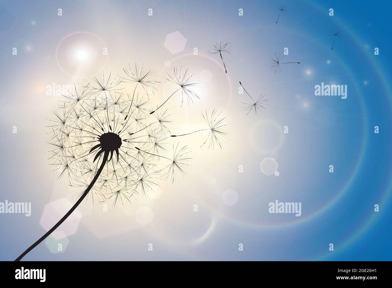 Silhouette eines Dandelions mit Samen, die in einer Sommerbrise wehen. Blauer Himmel Bokeh Hintergrund mit Sonnenlicht und Licht Fackeln. EPS10 Vektorformat Leerzeichen f Stockfoto