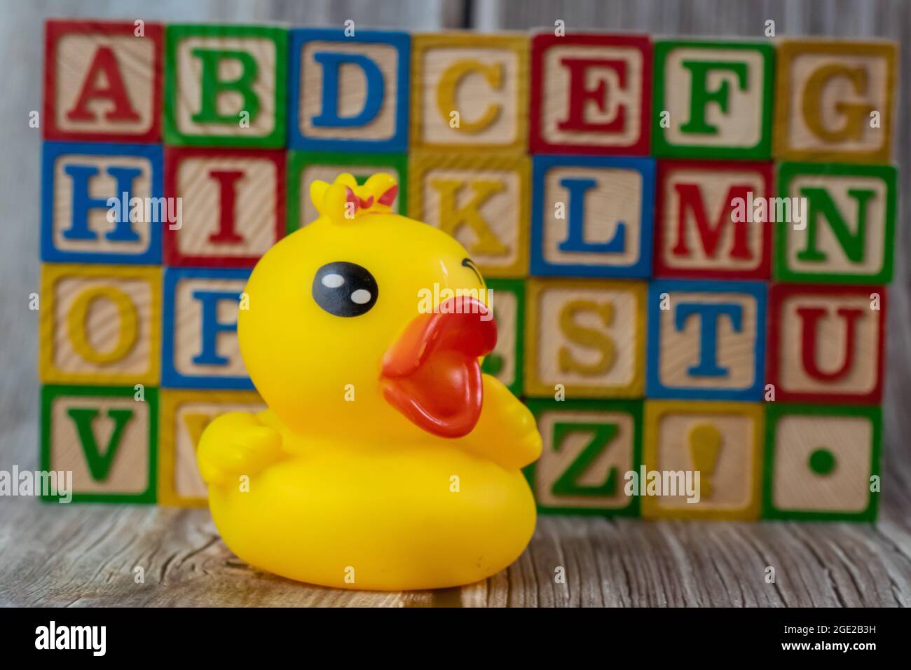 Baby-Spielzeug aus Gummiente und alphabetischer Holzblock. Stockfoto