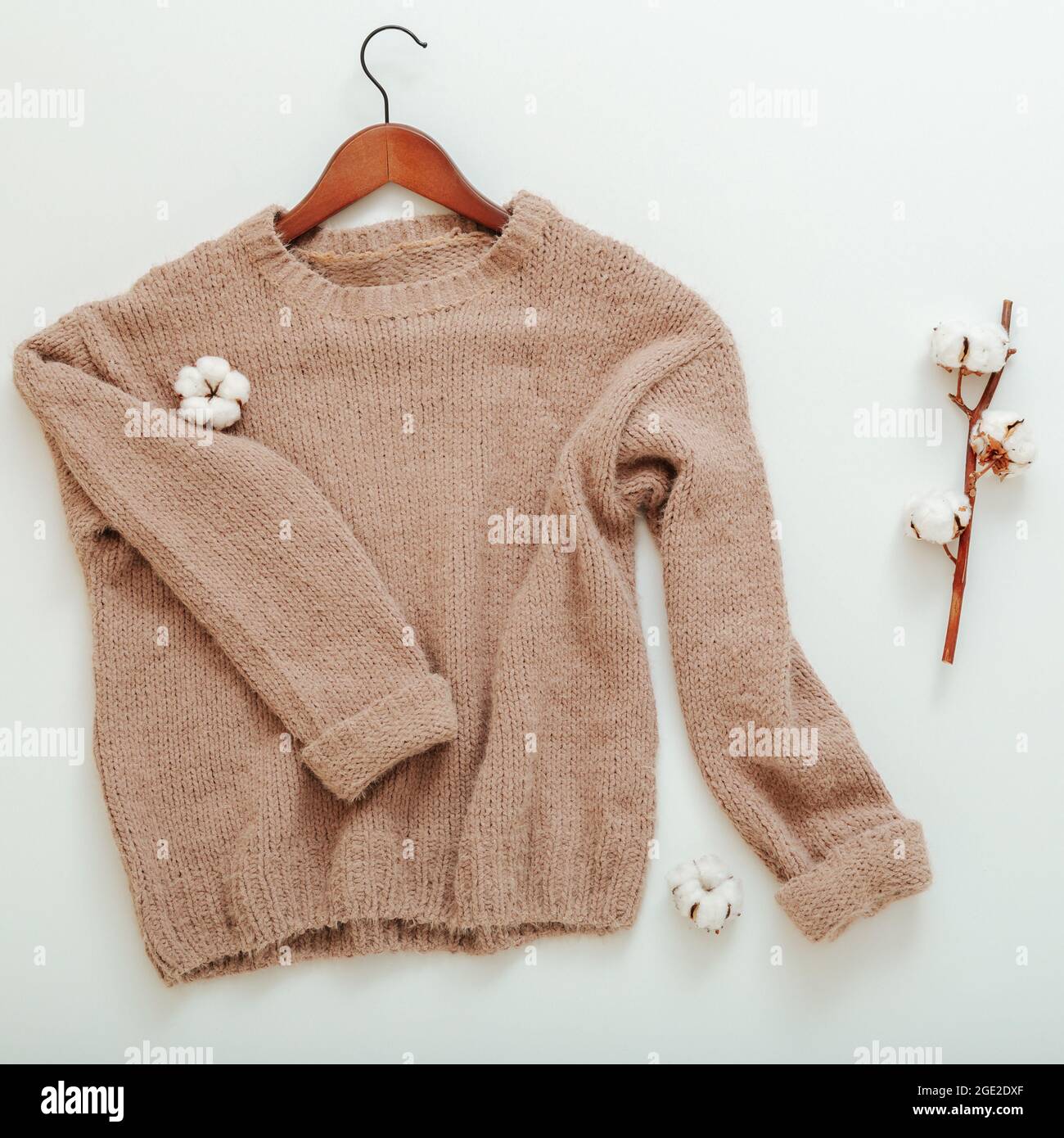 Gestrickter beiger Pullover am Aufhänger mit Baumwollblumen. Baumwoll-Pullover fliegt flach Lay Zweig Baumwolle auf weißem Hintergrund. Warme, stylische Heimbekleidung im Winter Stockfoto