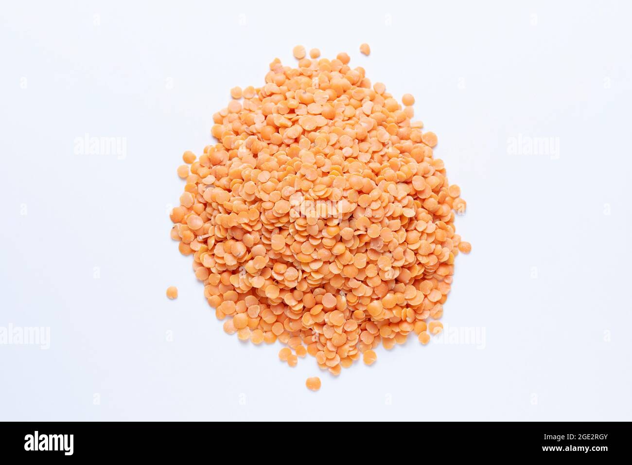 Masoor dal, Lens culinaris, Satara, Maharashtra, Indien. Legime mit essbaren Samen Stockfoto