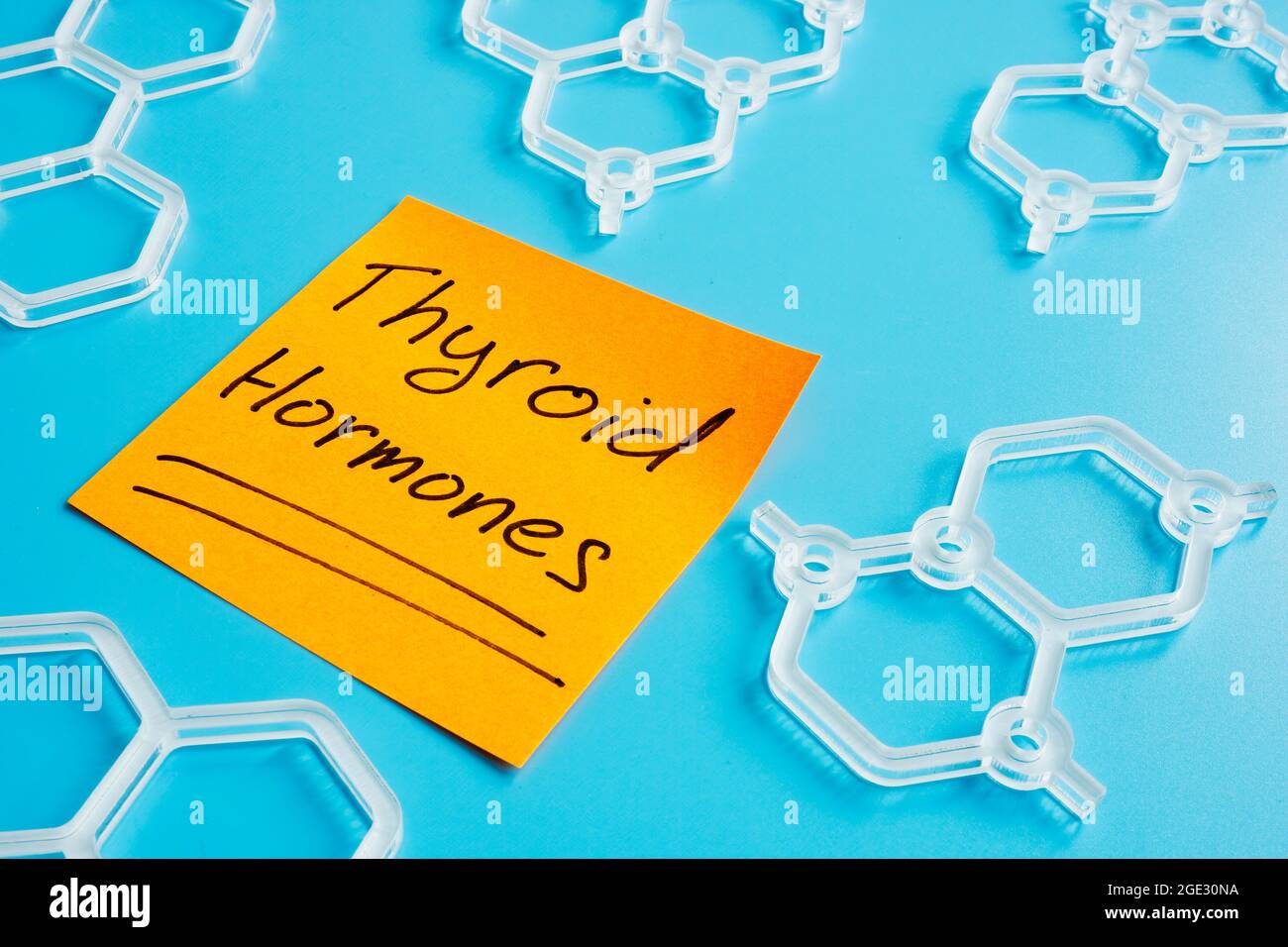 Schilddrüsenhormone auf dem orangefarbenen Stück Papier. Stockfoto