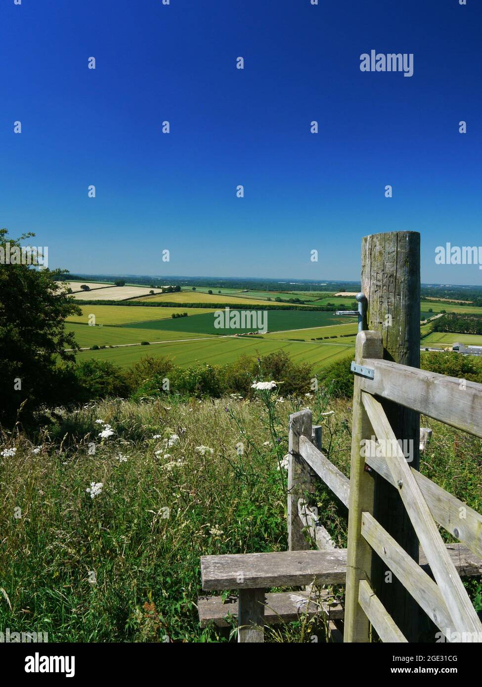 North Wessex Downs/Hills/Downland/Countryside Großbritannien. Stockfoto