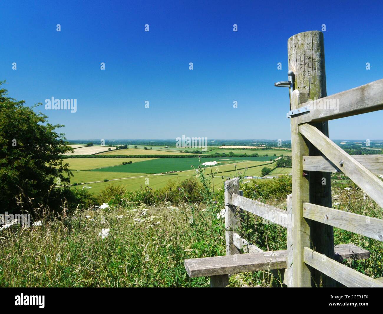 North Wessex Downs/Hills/Downland/Countryside Großbritannien. Stockfoto