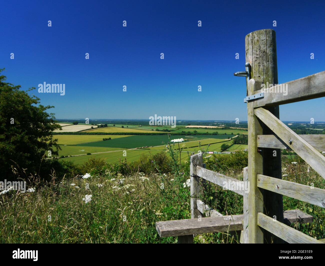 North Wessex Downs/Hills/Downland/Countryside Großbritannien. Stockfoto