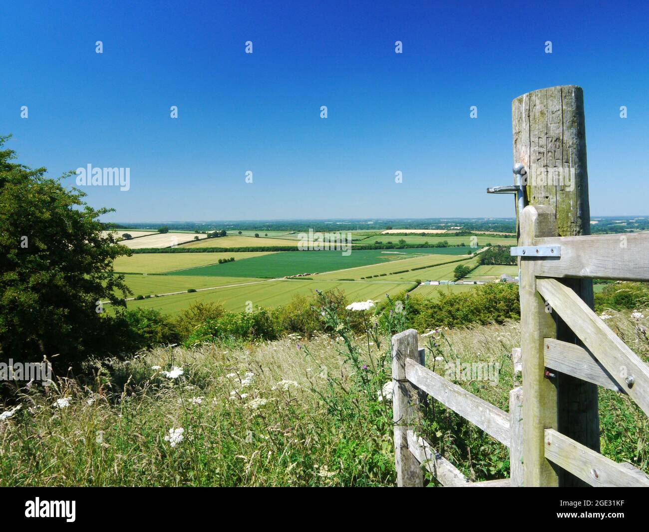 North Wessex Downs/Hills/Downland/Countryside Großbritannien. Stockfoto