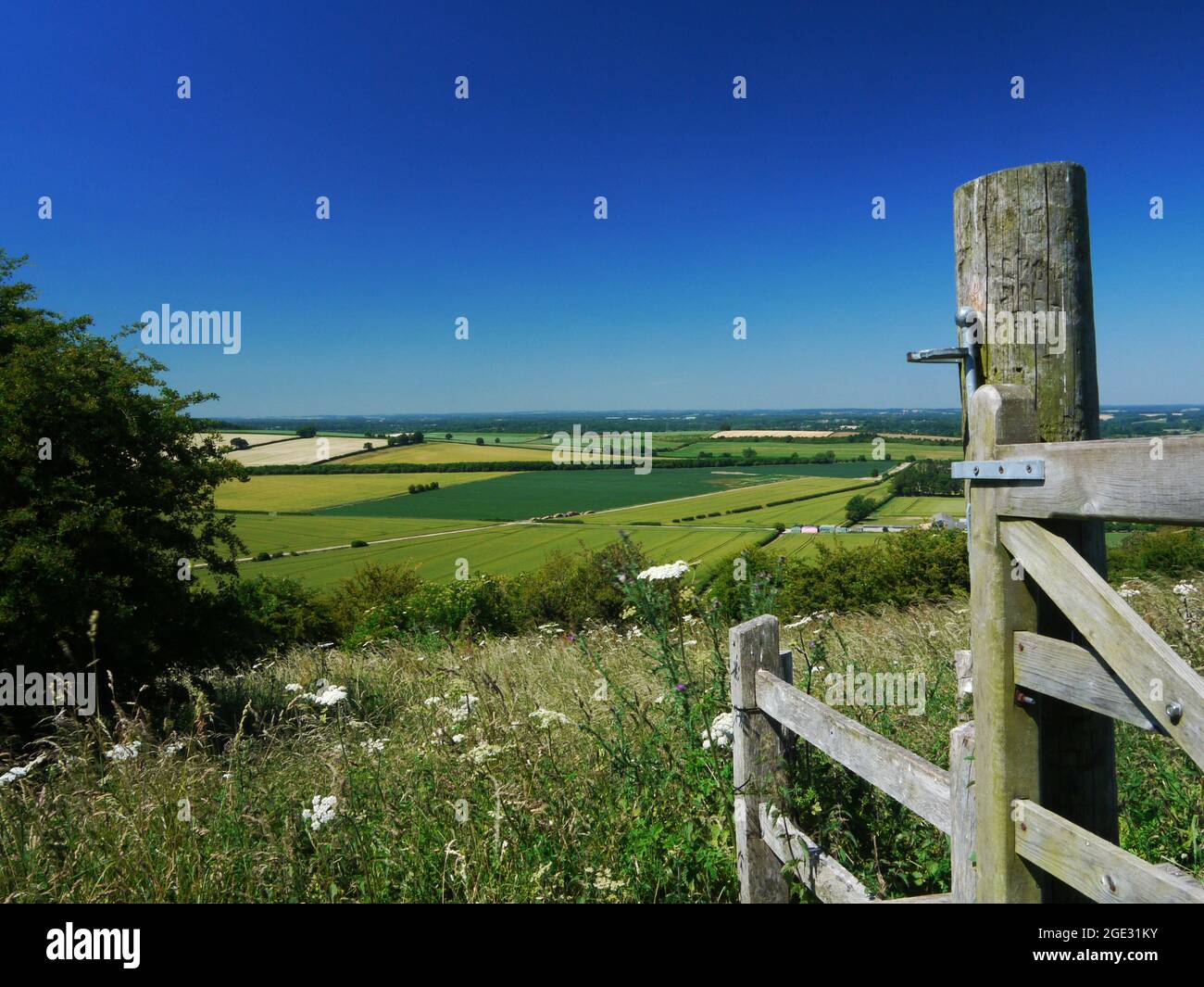 North Wessex Downs/Hills/Downland/Countryside Großbritannien. Stockfoto